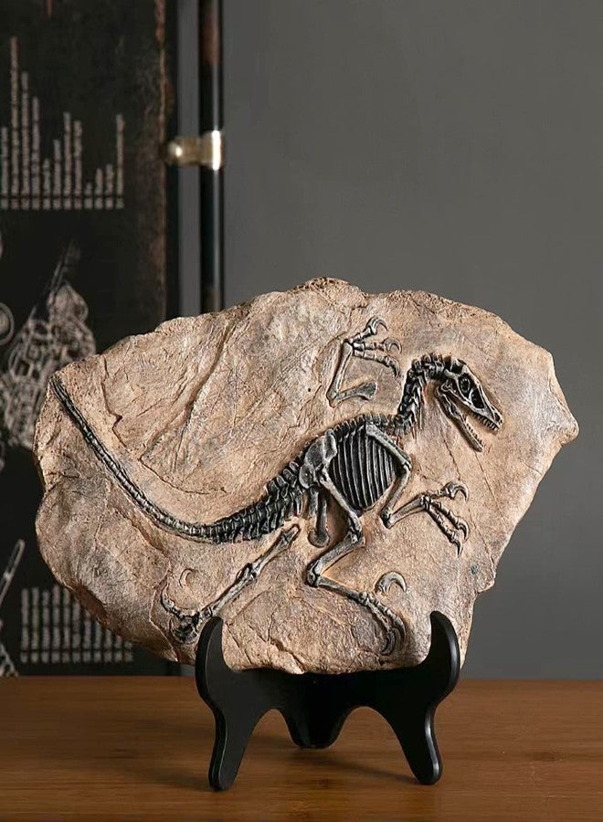 FUNSXBUG Resin Velociraptor Dinosaur Skeleton Fossil Statue Figurines Sculpture Collectibles Home Office Desktop Display Decoration (Dinosaur 1) - Image 2